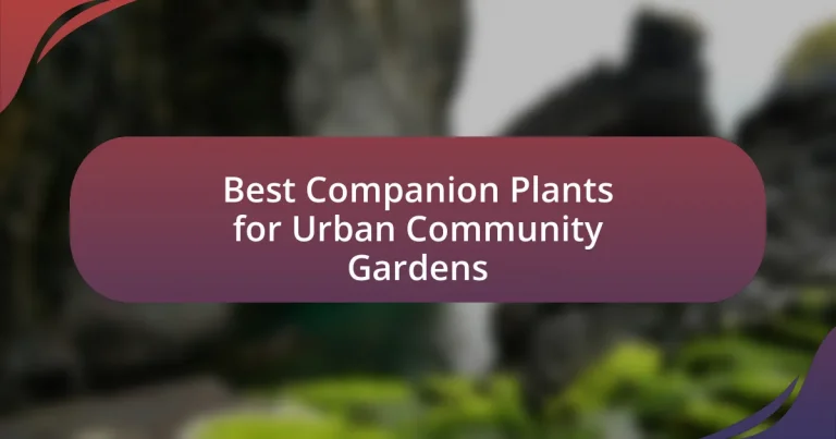 Best Companion Plants for Urban Community Gardens