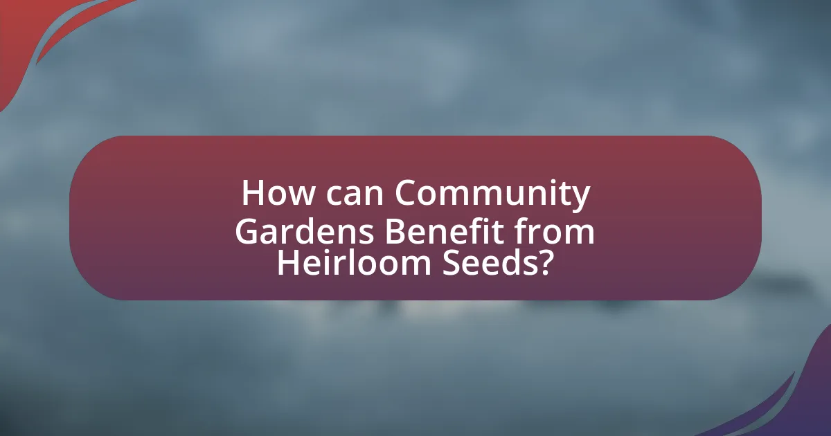 How can Community Gardens Benefit from Heirloom Seeds?