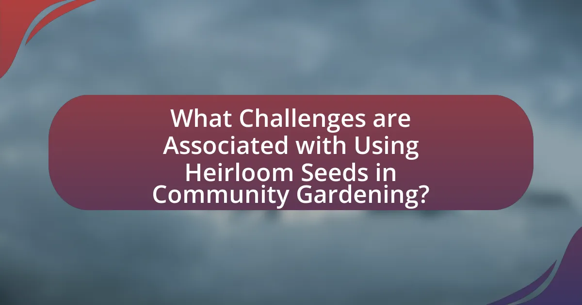 What Challenges are Associated with Using Heirloom Seeds in Community Gardening?