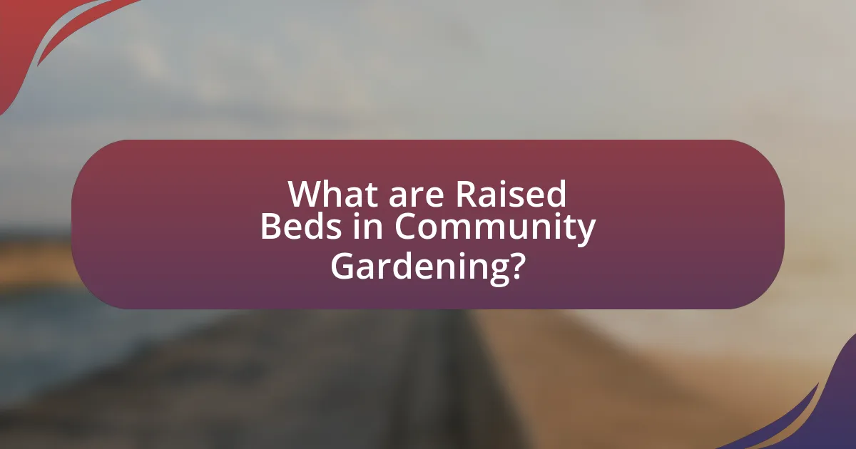 What are Raised Beds in Community Gardening?