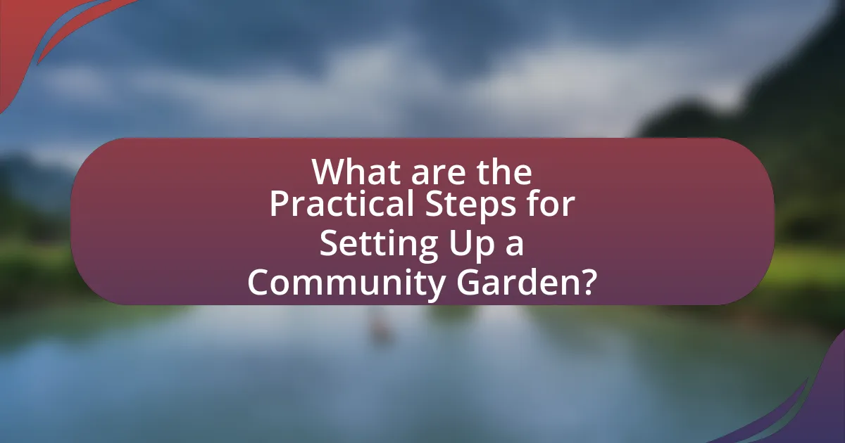 What are the Practical Steps for Setting Up a Community Garden?